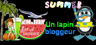 Logo du blog été