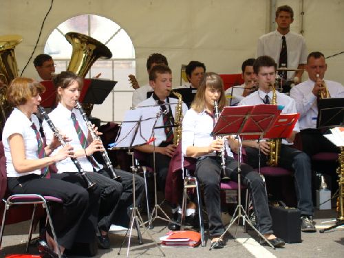 Les clarinettes et saxophones