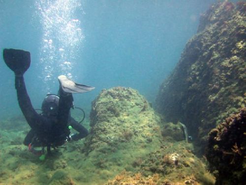 A La Réunion, la plongée c'est comme un aquarium...