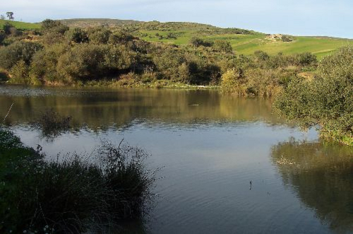 Lac de Sidi Boubaghla