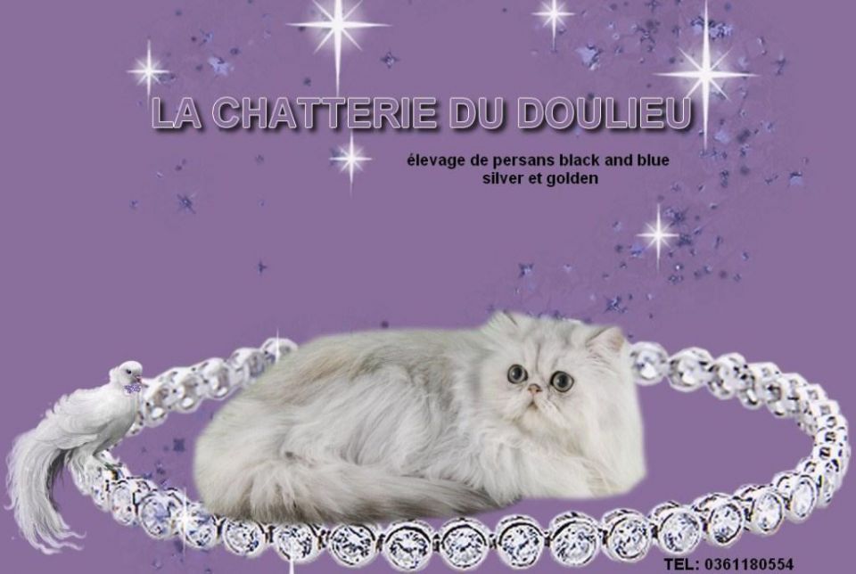 LA CHATTERIE DU DOULIEU