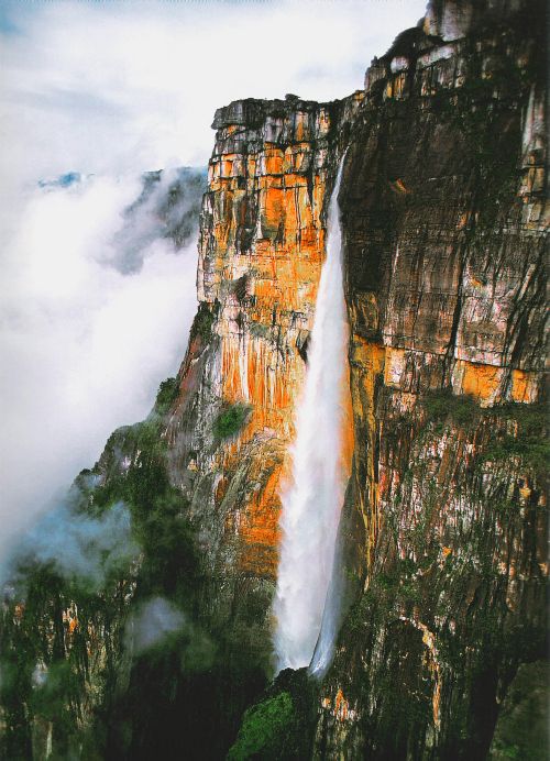 Salto Angel (La chute d'eau verticale la plus haute du monde)