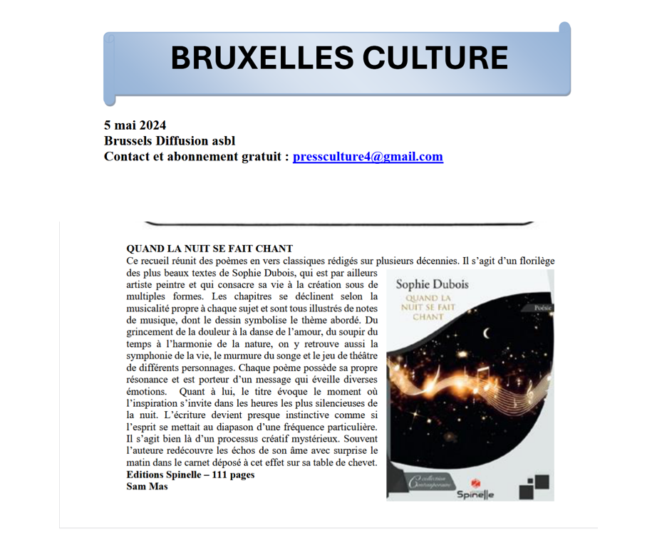 Bruxelles Culture 2024 définitif.png