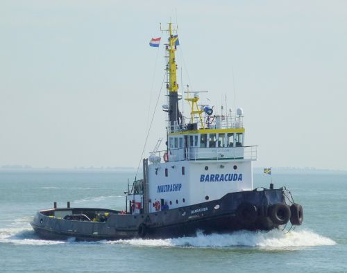 BARRACUDA (Terneuzen)