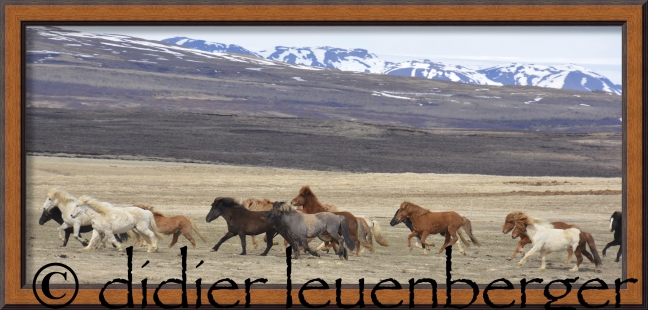 ISLANDE D7100 18 MAI 2015 1187 - Version 2.jpg