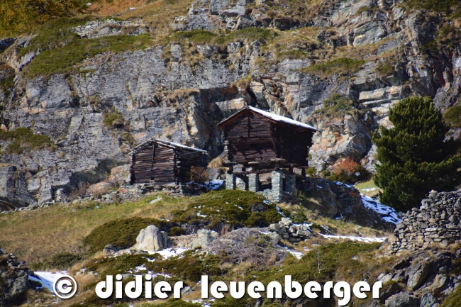 SUISSE ZERMATT N7100 18 OCTOBRE 2015 419.jpg