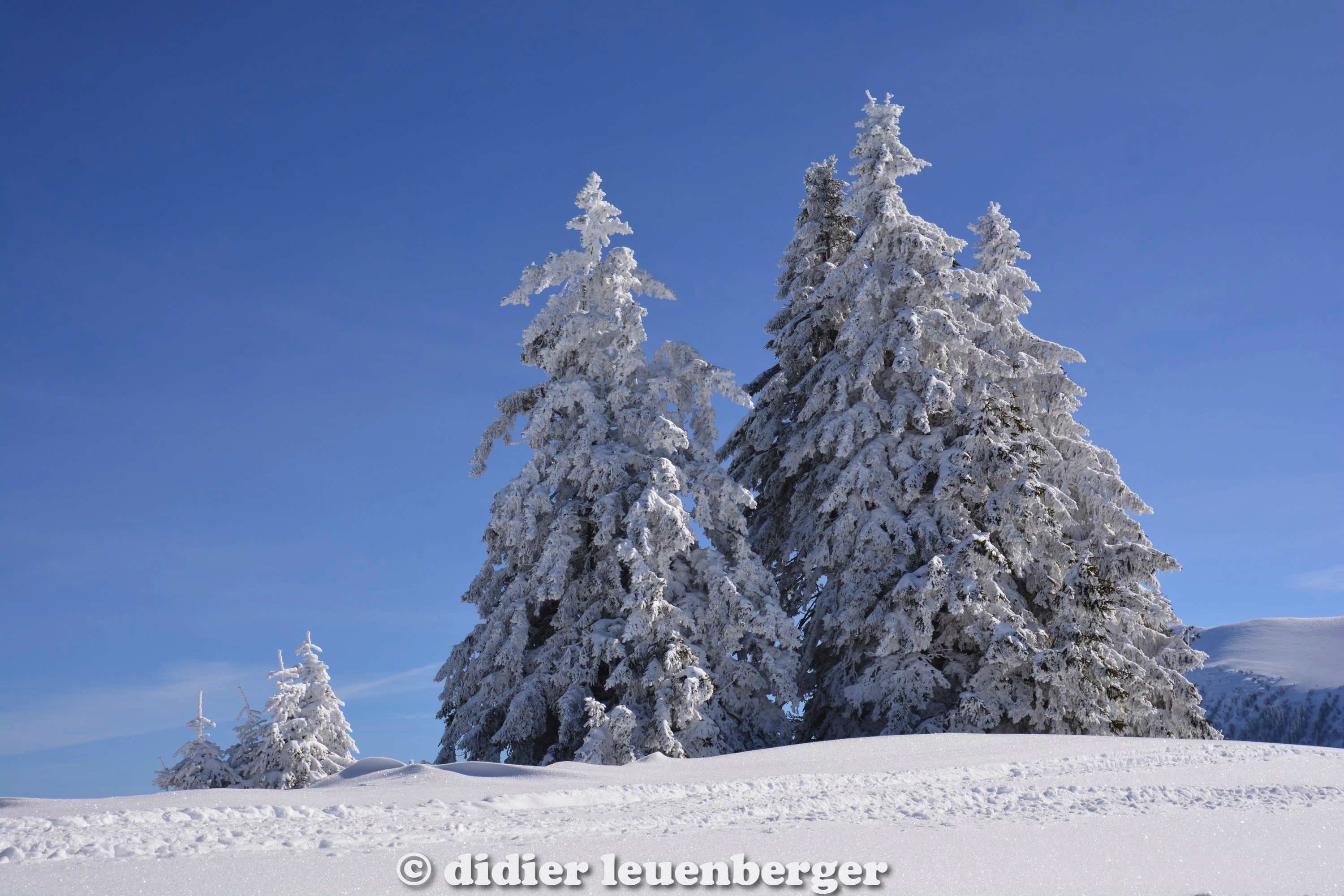 didier leuenberger -268.jpg