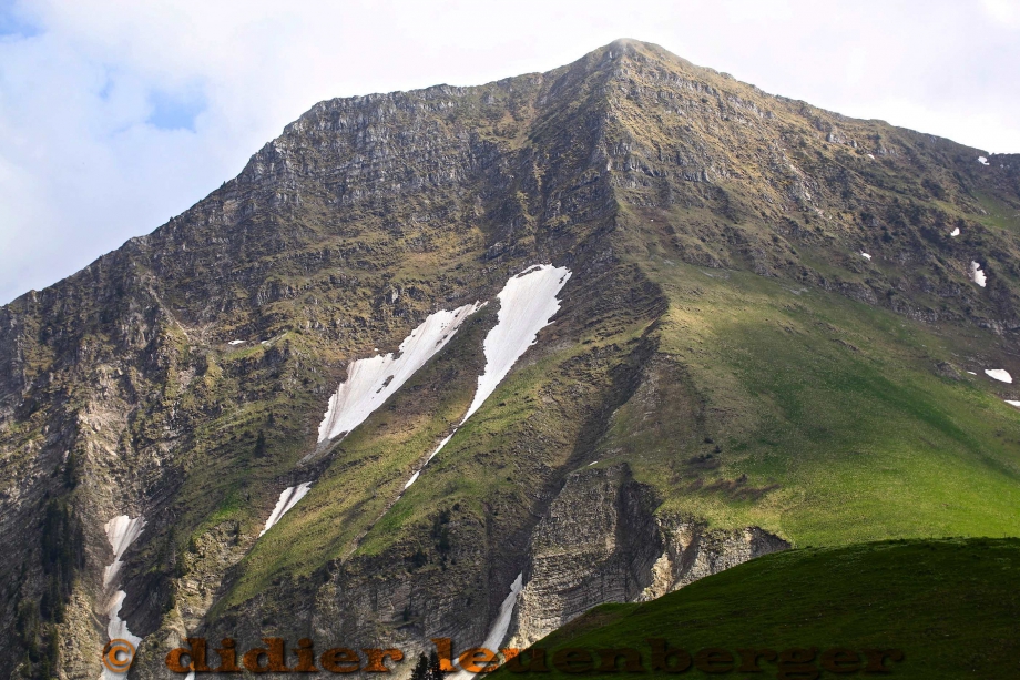 SUISSE SALETA D5 CADRES 6JUIN 2016180.jpg