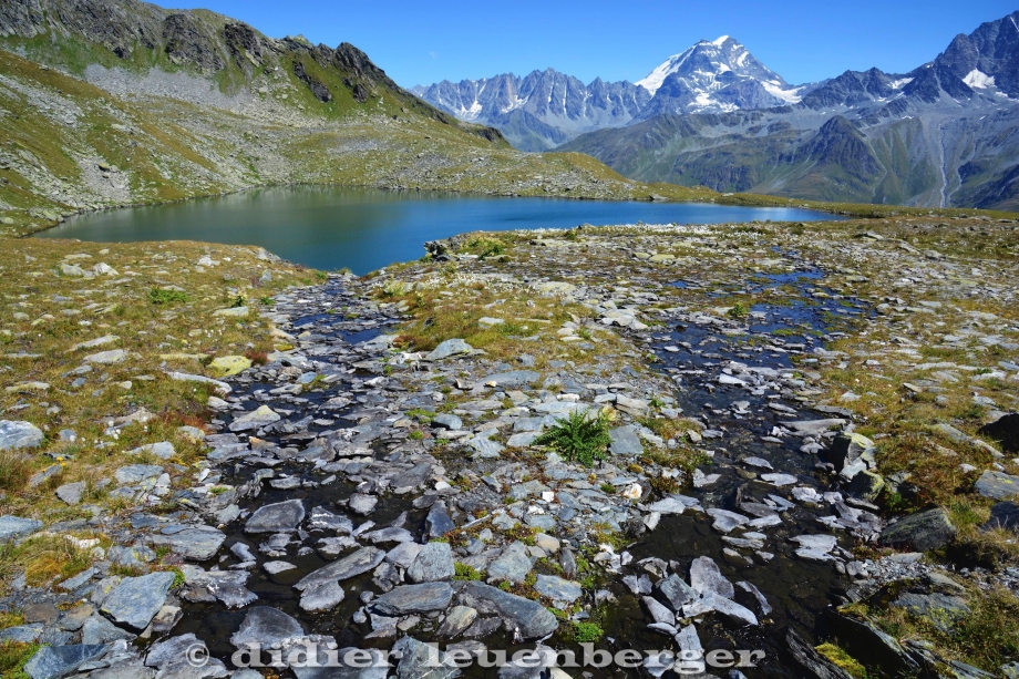 SUISSE LAC FENÊTRE -GRAND ST_BERNARD D5 PHOTOS 26 AOÛT 2016 1233.jpg