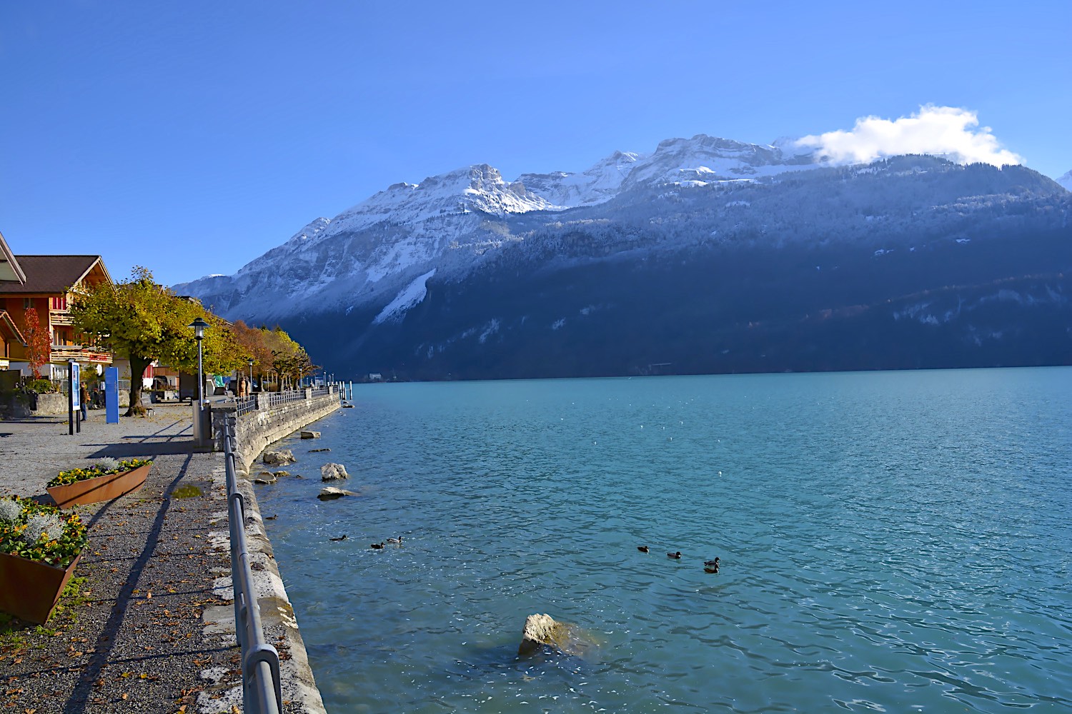 SUISSE FLÜELI oD7100 PHOTOS 12 NOVEMBRE 2016 318_HDR.jpg