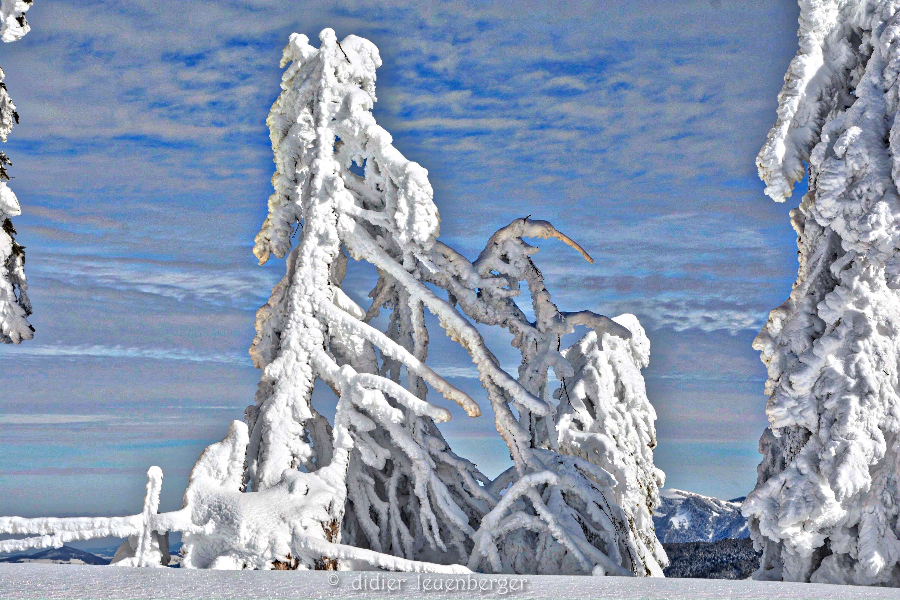 SUISSE iNIREMONT 3 FEVRIER 2015 501_HDR.jpg