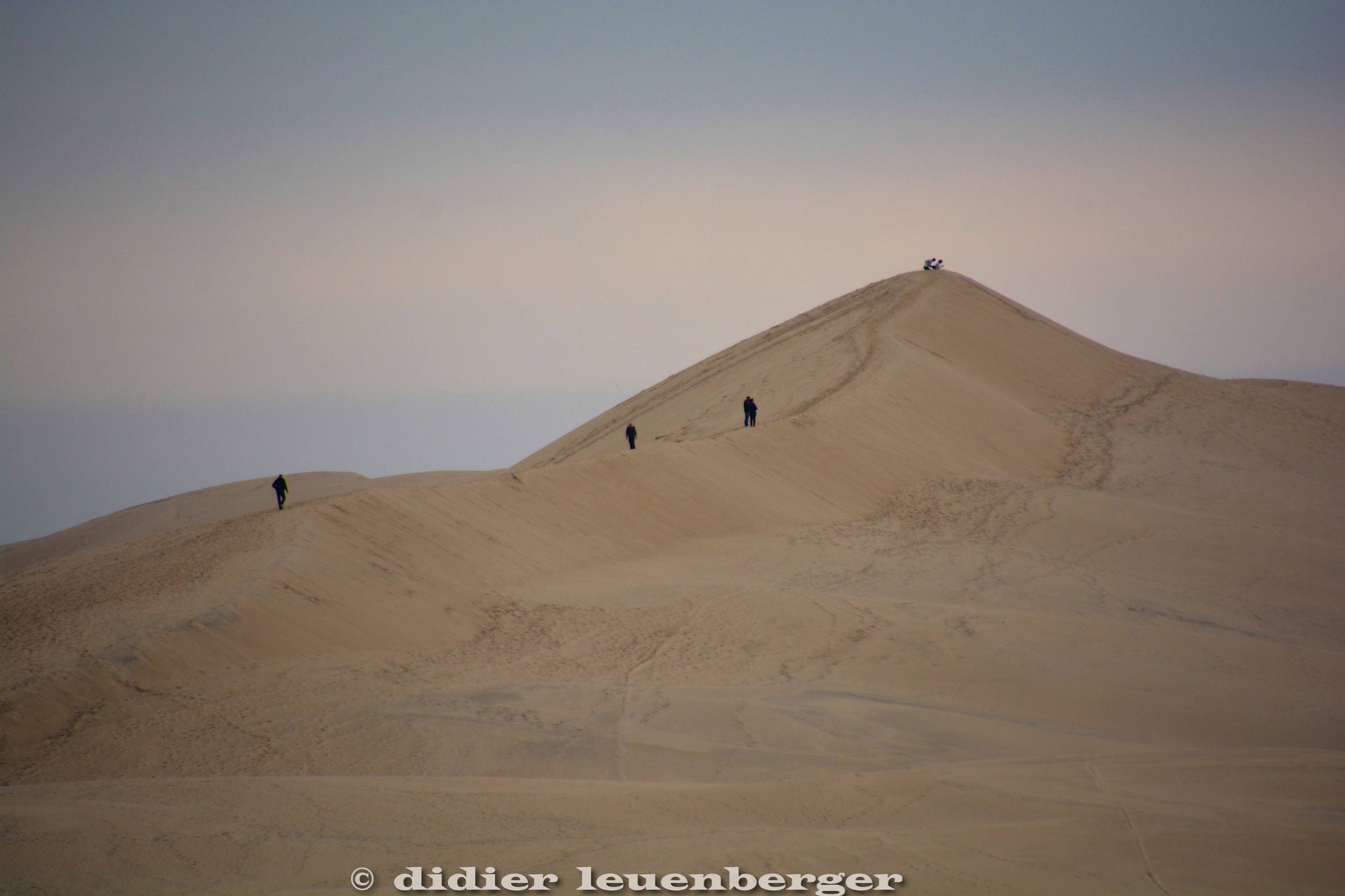 FRANCE GIRONDE PHOTOS N7100 17 OCTOBRE 2016 182 - Version 2.jpg