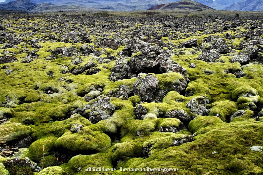 ISLANDE 09.2008 581_HDR3.jpg