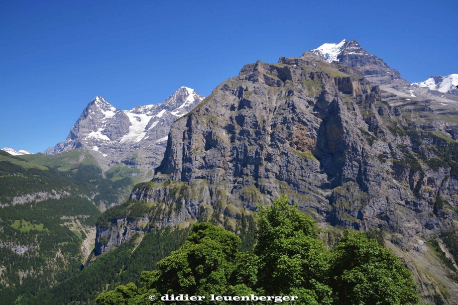 SUISSE MÜRREN-SHILTHOTN PHOTOS 18-20 JUIN 2017 32.jpg