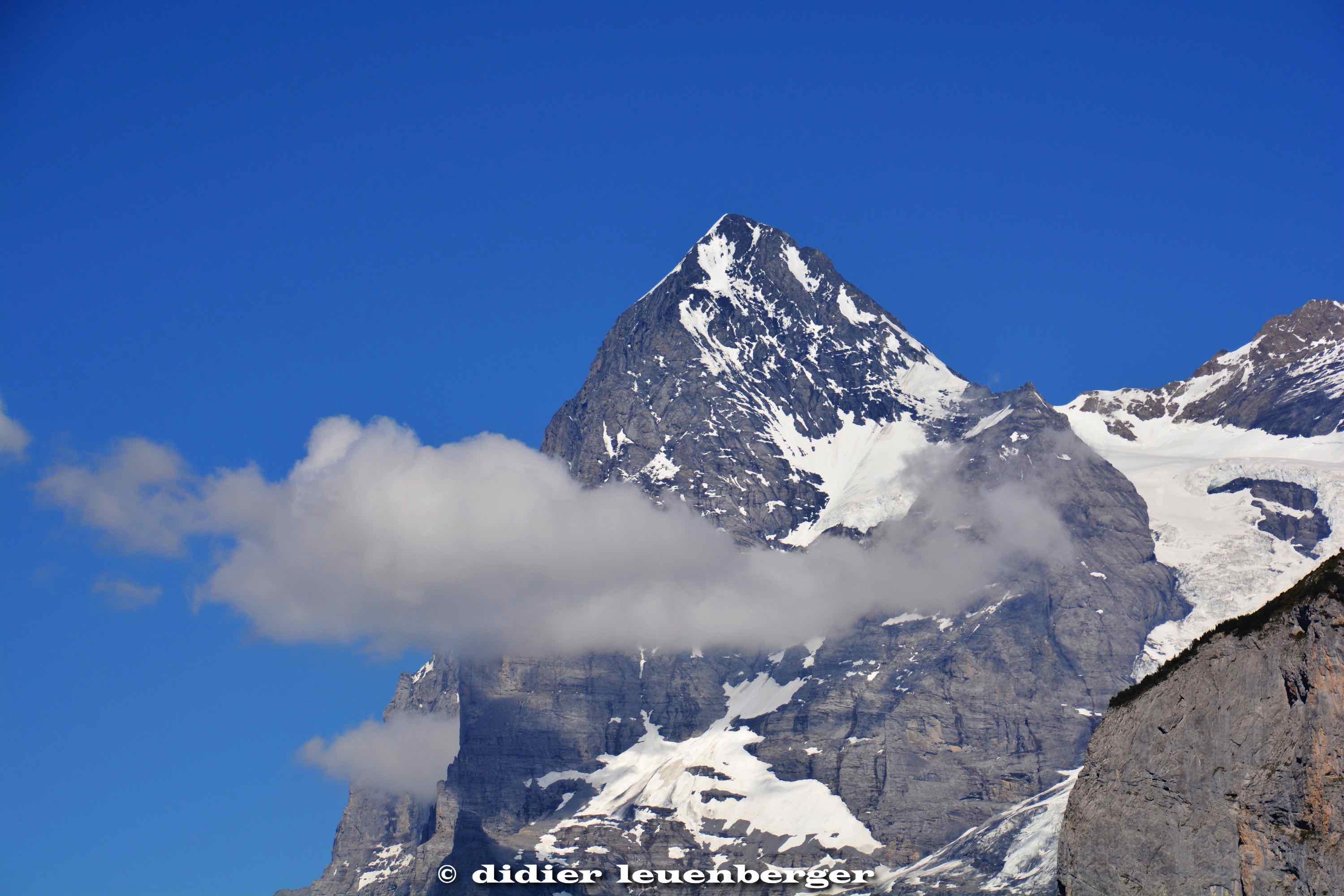 SUISSE MÜRREN-SHILTHOTN PHOTOS 18-20 JUIN 2017 133.jpg