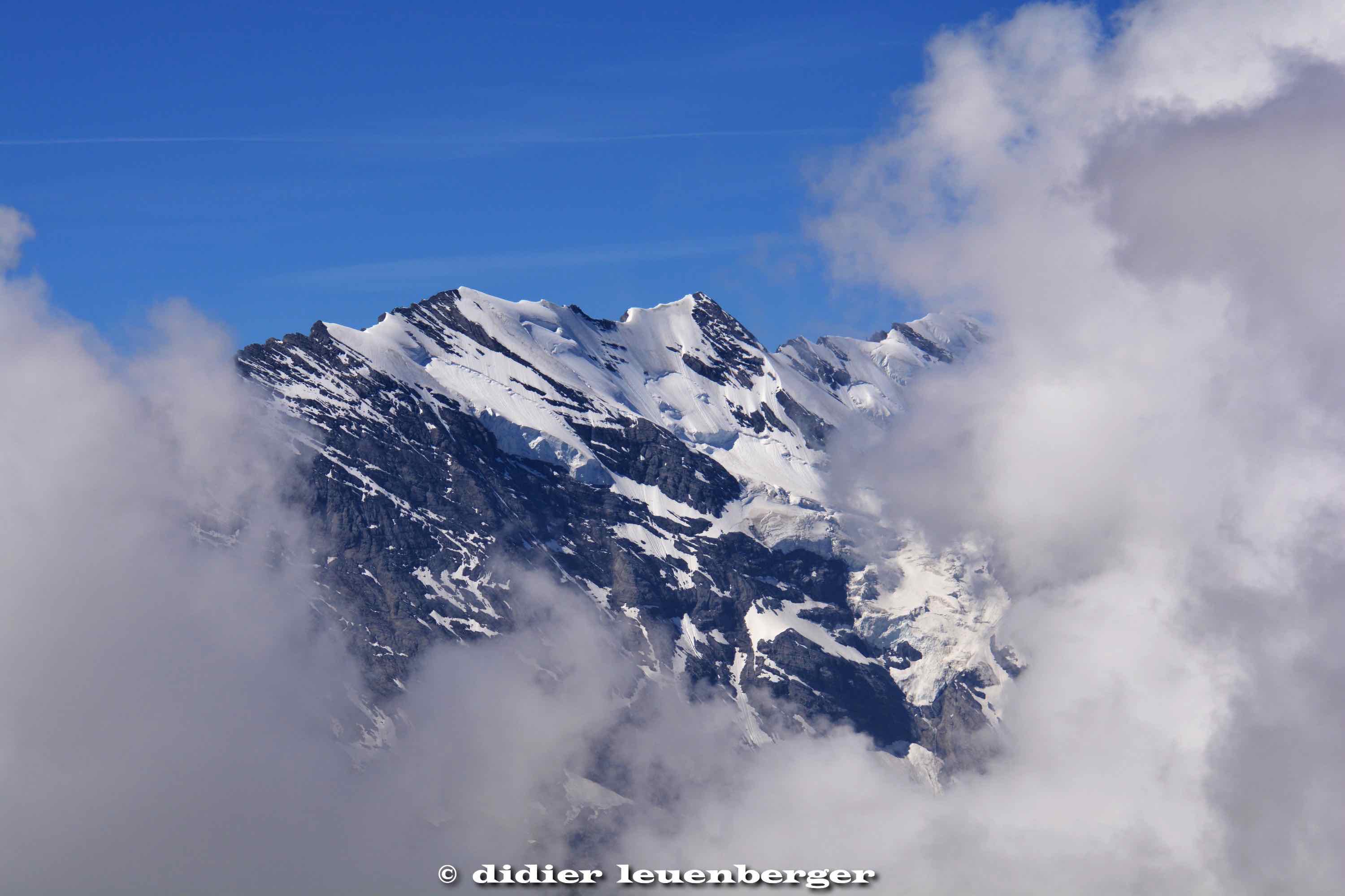 SUISSE MÜRREN-SHILTHOTN PHOTOS 18-20 JUIN 2017 249.jpg