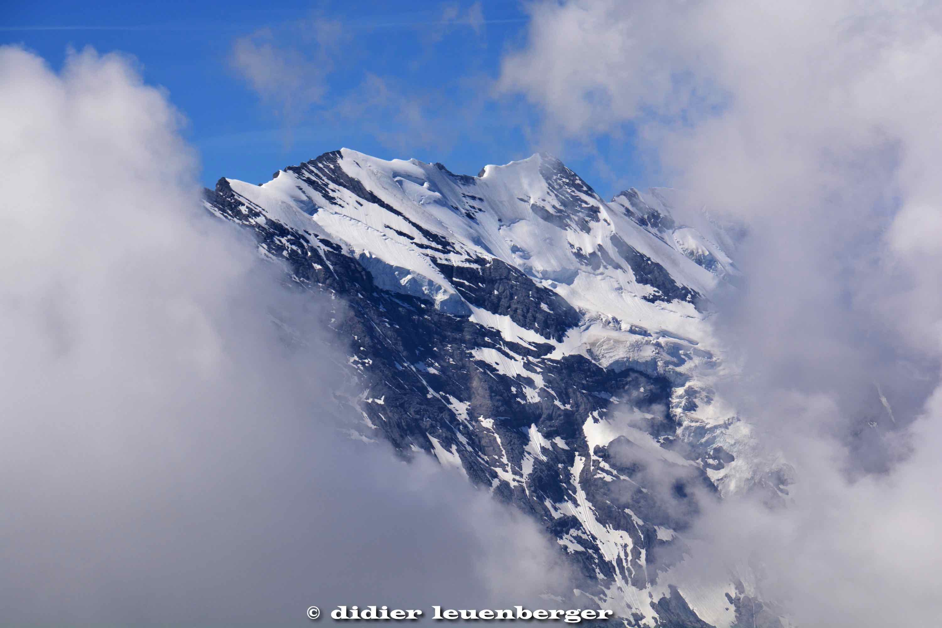 SUISSE MÜRREN-SHILTHOTN PHOTOS 18-20 JUIN 2017 261.jpg