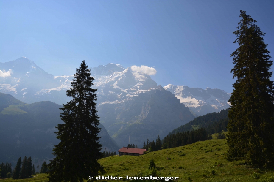 SUISSE MÜRREN-SHILTHOTN PHOTOS 18-20 JUIN 2017 542.jpg