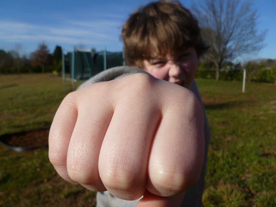 fist-bump-933916_960_720.jpg