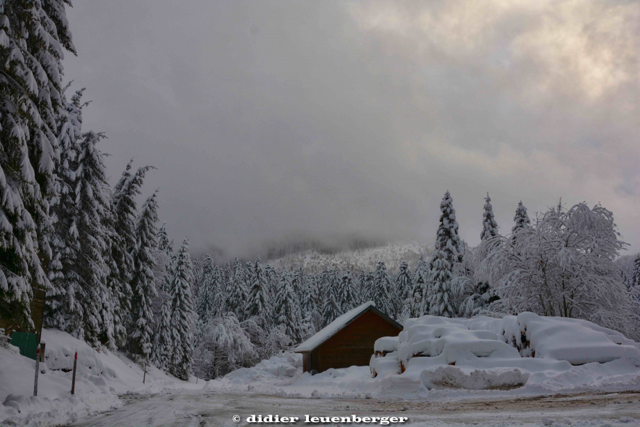 SUISSE PACCOTS PHOTO N7100 12 DECEMBRE 2017 53_HDR1.jpg