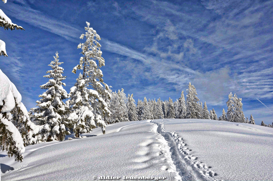 SUISSE NIREMONT 3 FEVRIER 2015 42_HDR3.jpg