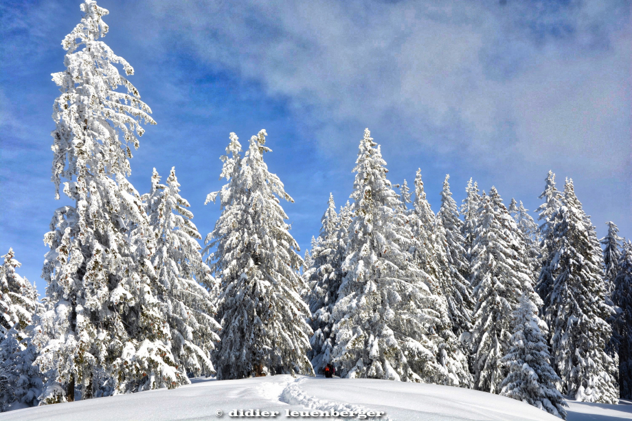 SUISSE NIREMONT 3 FEVRIER 2015 68_HDR2.jpg