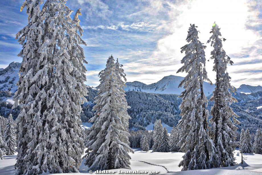 SUISSE NIREMONT 3 FEVRIER 2015 90_HDR4.jpg