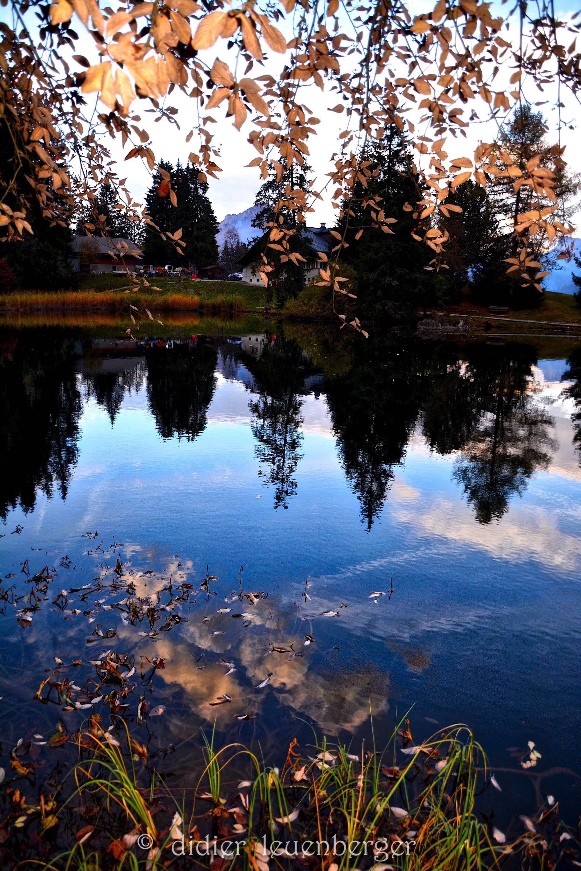 SUISSE iPACCOTS PHOTOS D5 4 NOVEMBRE 2016 118_HDR.jpg