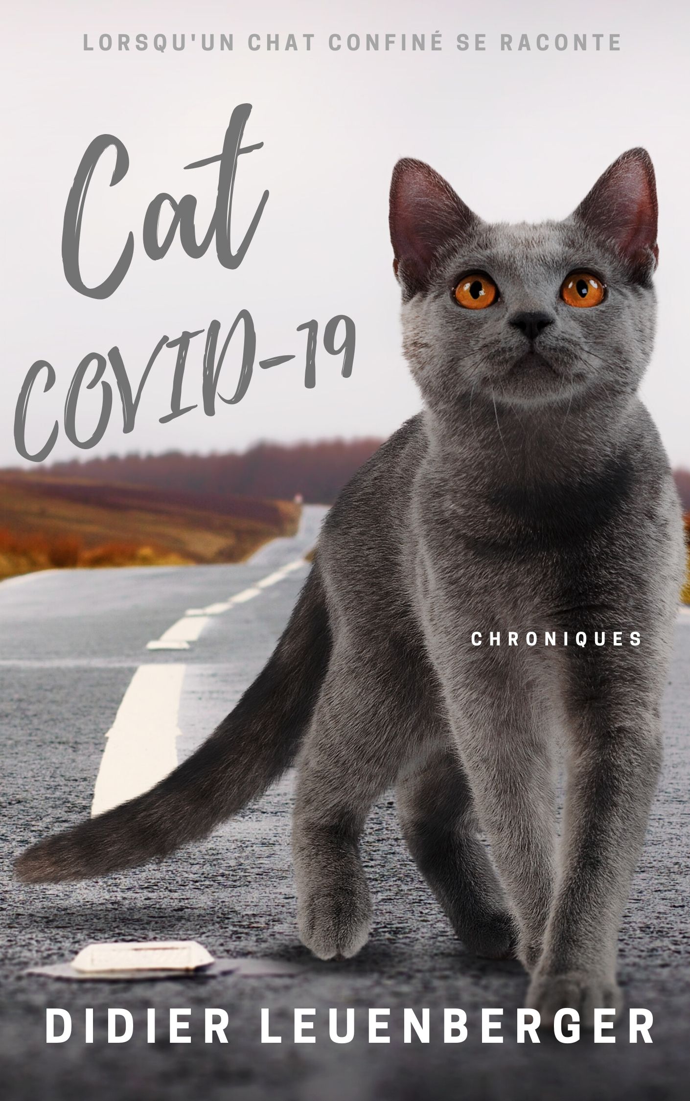 Cats Covid-19 2.jpg
