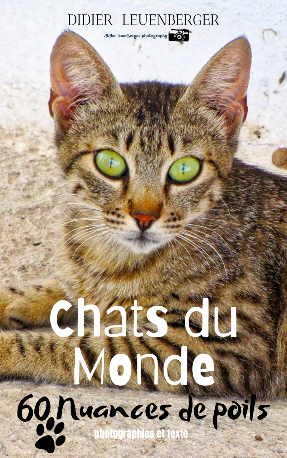 Chat du Mondephoto copie.png