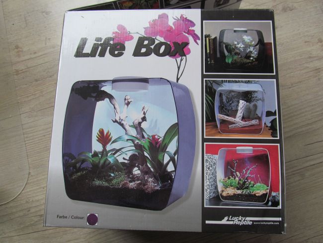 Life box Lucky Reptile, Fr. 20,--