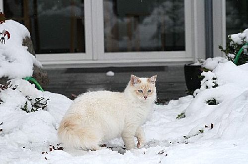 Diego est tout simplement étonné de voir cette couverture blanche dans son jardin!