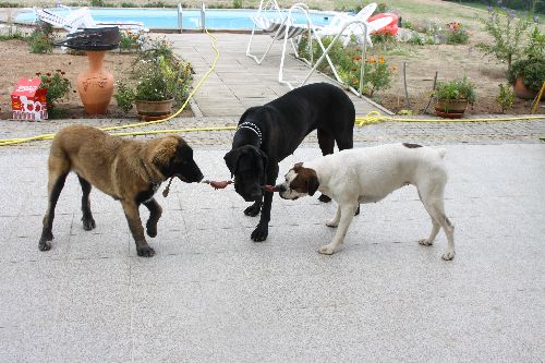 Emma 2009 avec des copains