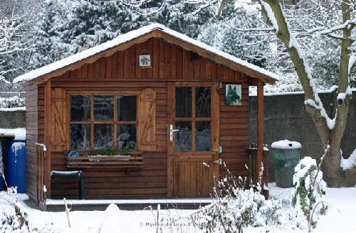 17 décembre 2009 : il neige sur nos potagers !