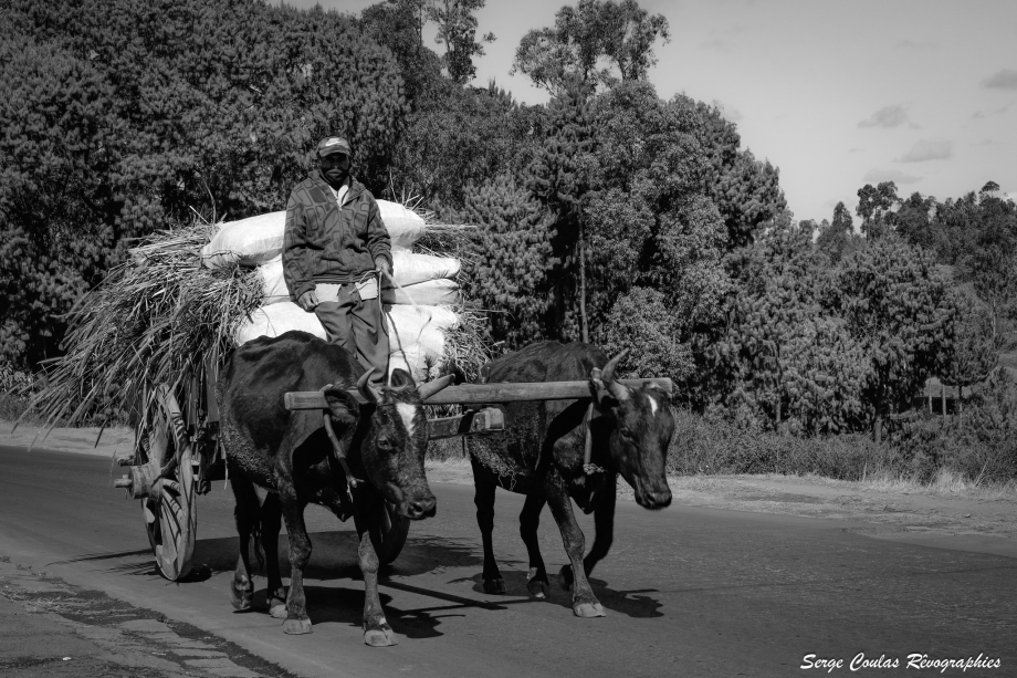 Photo : Serge Coulas ( Nos remerciements )