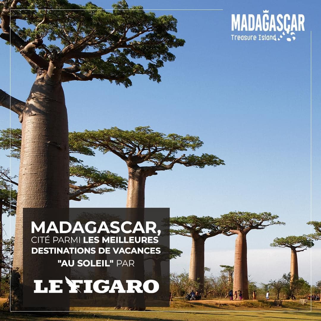 Madagascar nature