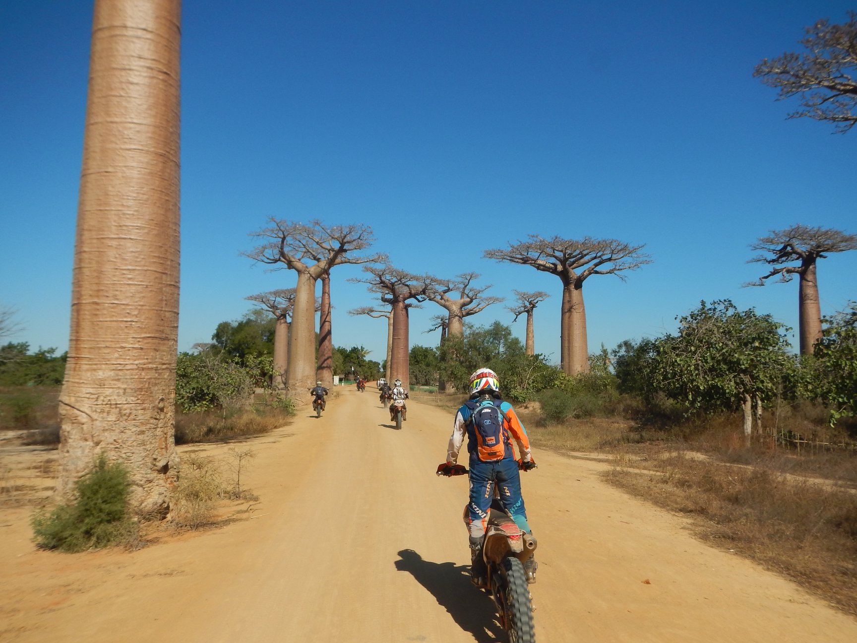 A l'allée des baobabs dans le sud ouest de Madagascar