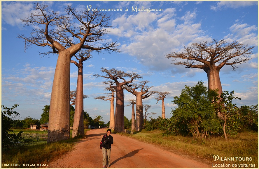 L'allée des baobabs avec Vivienne Bao , Tour guide free lance et multi -langues