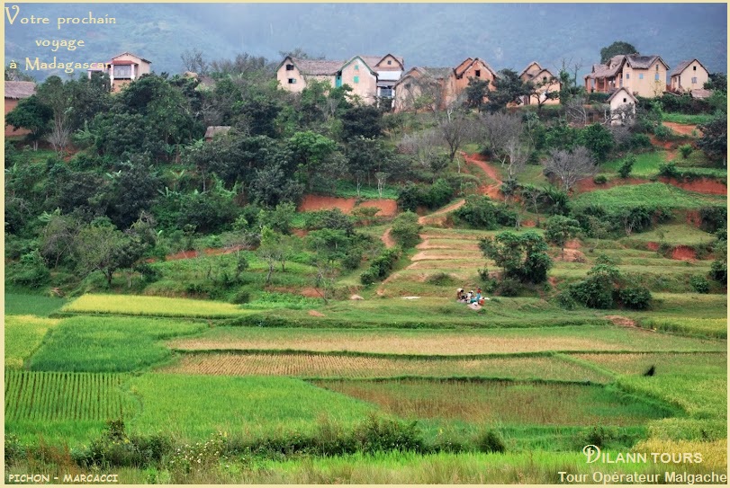 Un village au loin avec de belles rizières vertes des hauts plateaux