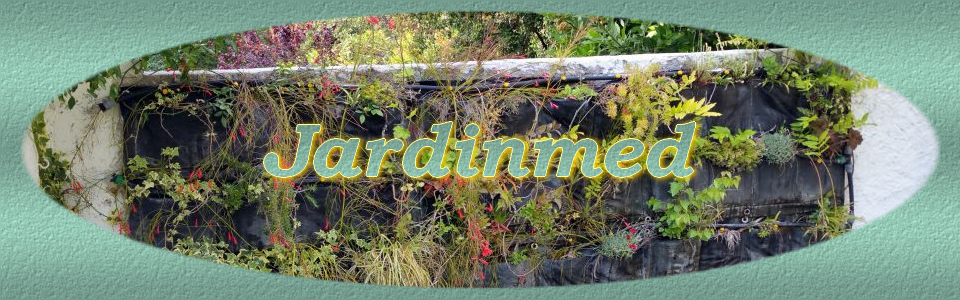 jardinmed.com