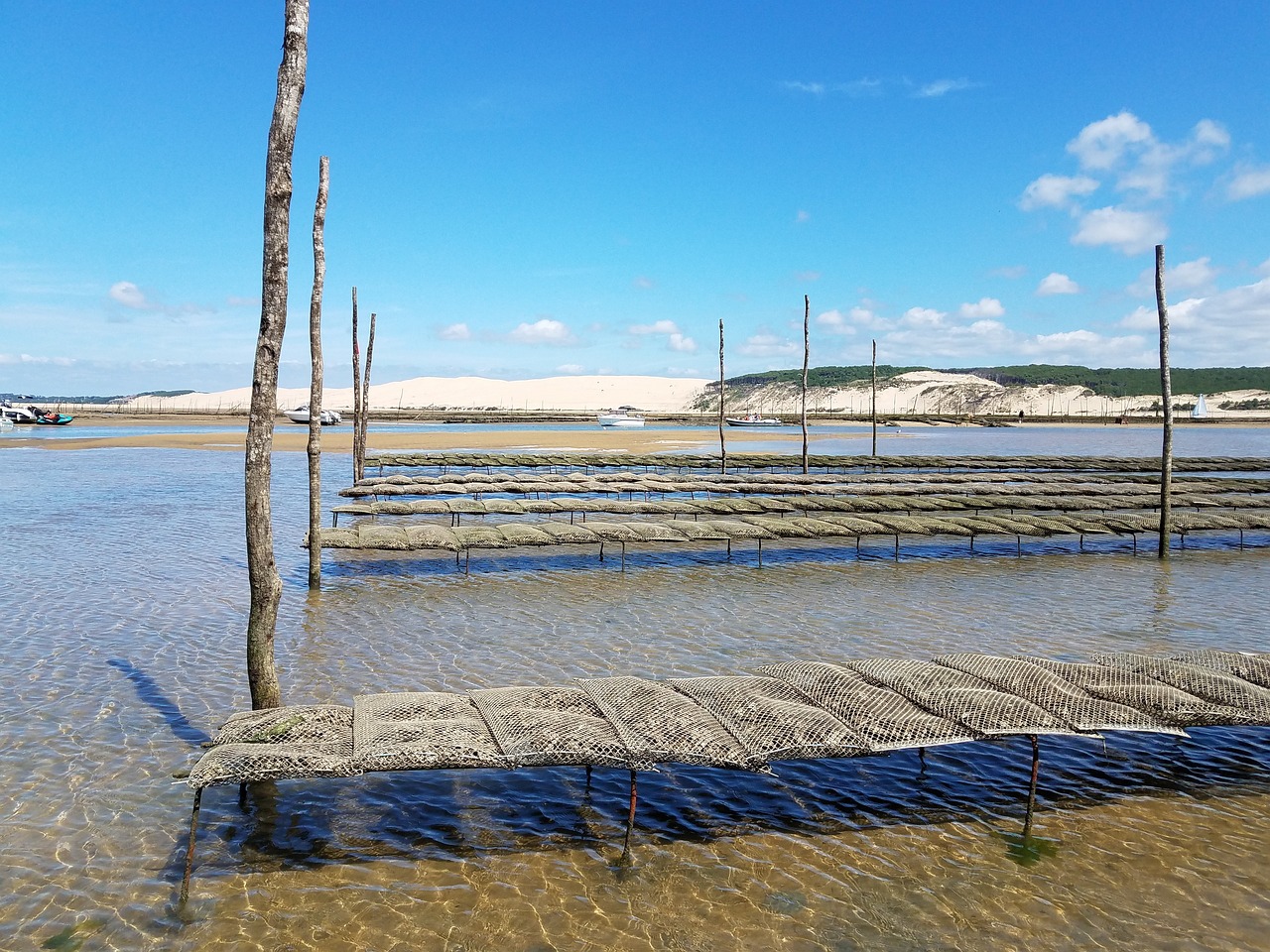 arcachon-basin-2736099_1280