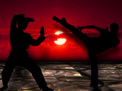 martial-arts-291049_640.jpg