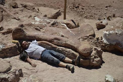 Un-dinosaure-de-40-metres-decouvert-en-Patagonie_image_article_large.jpg