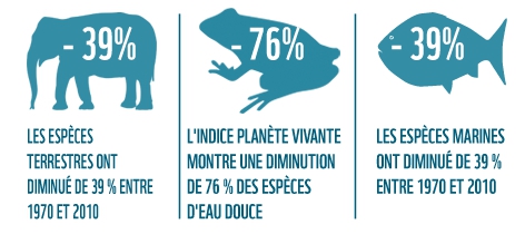 lpi_infographic_3col_fr_6381.jpg