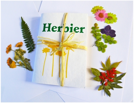 470-355-herbier8.jpg