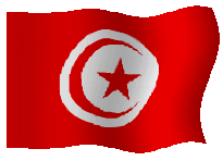 3Tunez-Tunisie.gif