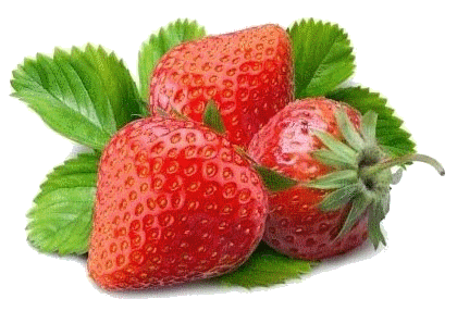 fraises gp6.gif