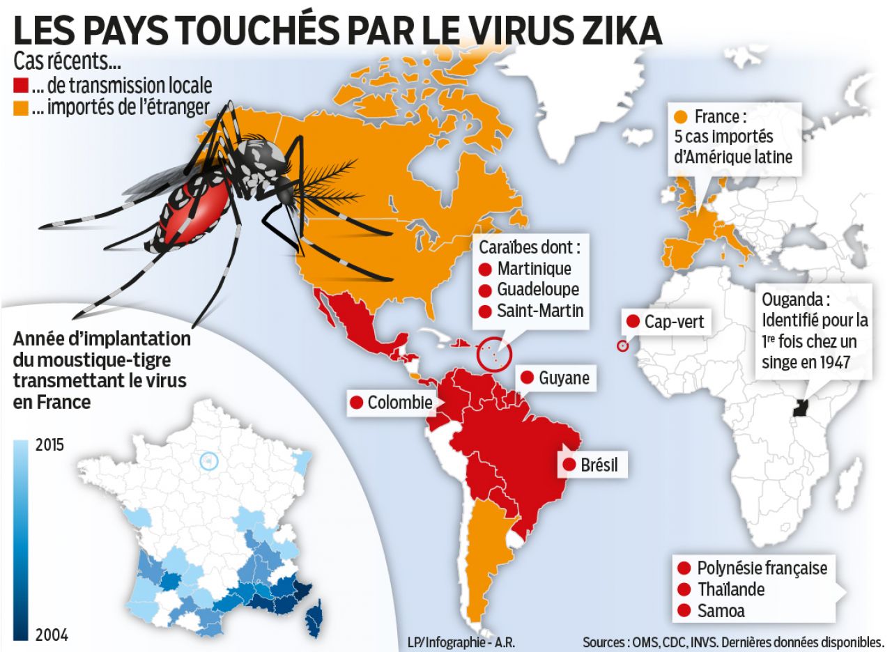 5504367_fdj-virus-zika-moustique-cartograpie-web-01.jpg