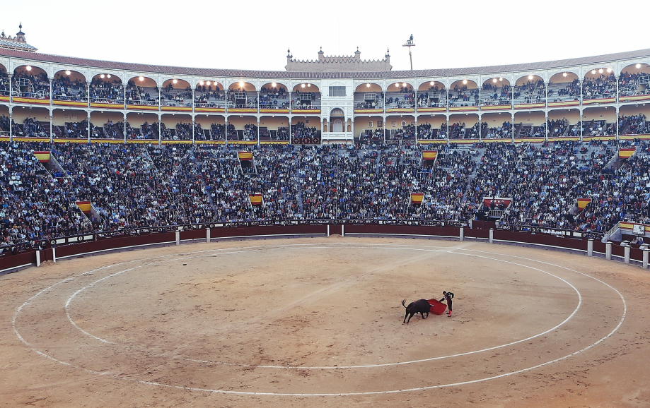 bullfight-406865_1920