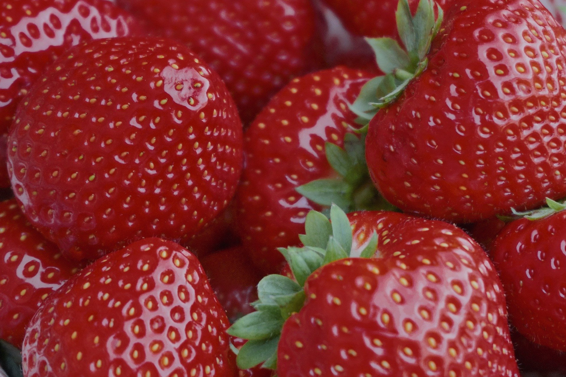 strawberries-7133242_1920